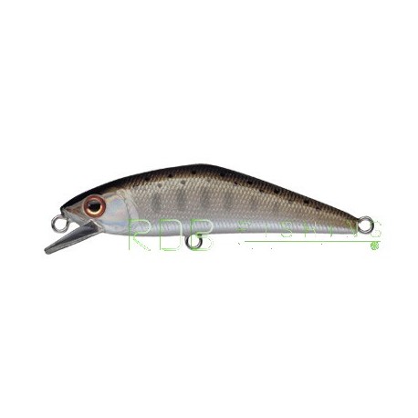 Poisson nageur SMITH D-Contact 50 col-03