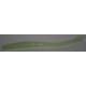 DS Worm phospho