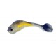 Panic Minnow Swimtail 3,5'' 88mm Ghost Chartreuse-49s