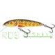 Salmo Minnow sinking 5cm 5gr color T