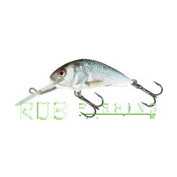 Salmo Hornet sinking 4cm 4gr color RD (Real Dace)