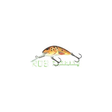 Salmo Hornet sinking 4cm 4gr color T (Trout)