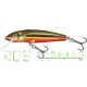 Salmo Minnow sinking 5cm 5gr color RBD