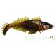 Chabot Bulhead Orka 7cm color BR