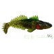 Chabot Bulhead Orka 11cm color yg