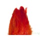 Plumes de Schlappen orange feu