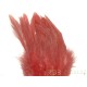 Plumes de Schlappen rose crevette