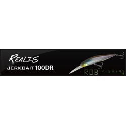 DUO REALIS JERKBAIT 100 DR