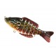 Segment Shad 5'' (12.5cm ) / 36gr / sinking coloris 466 Sun Perch