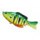 Segment Shad 6'' (15cm ) / 64gr / sinking coloris 015 Peacock Tiger