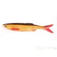 3D Bleak Real Tail 10,5 cm coloris Rudd Minnow