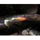 Shad Tail Orka 10 cm 4 gr coloris YR