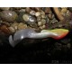 Shad Tail Orka 21 cm 25 gr coloris WY