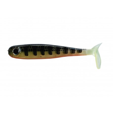 Bad Shad AMS Fishing 6'' (15cm) 09_PERCHE