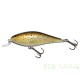 Salmo Executor floating - shallow runner 5cm 5gr Trout