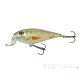 Salmo Executor floating - shallow runner 5cm 5gr Dace