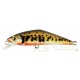 Poisson nageur SMITH D-Contact 63 coloris V2