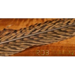 Portion de plume de queue de faisan doré