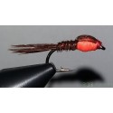 Nymphe RDB Sawyer pheasant tail orange