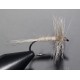 Mouche sèche RDB Manne blanche