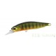 DUO Realis Rozante 63 SP Gold Perch