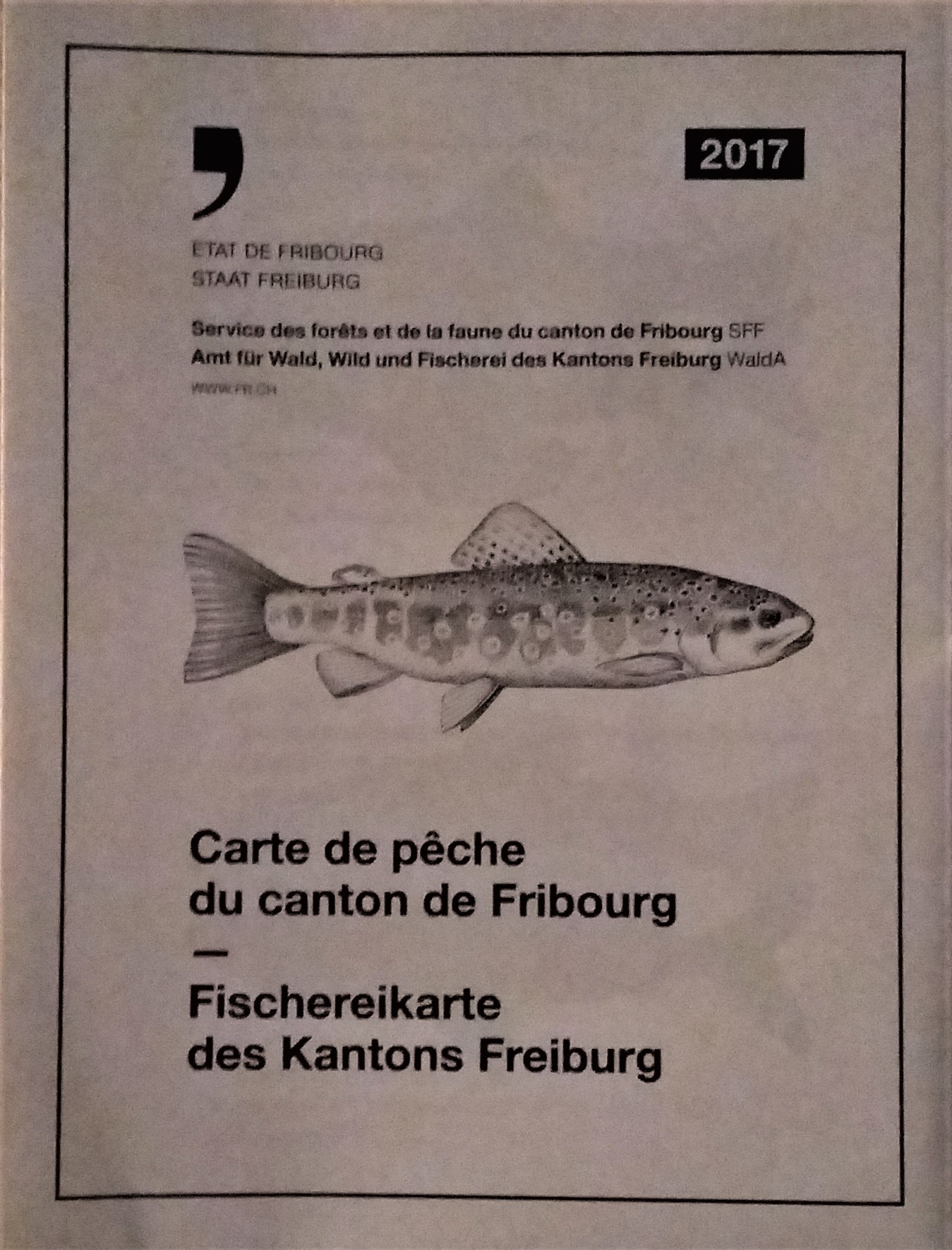 Livre salmonidés : Guide randos pêche en lacs de montagne | Alphonse Arias