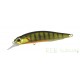 DUO Realis Rozante 77 SP Gold Perch