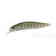DUO Realis Rozante 77 SP Ghost Gill