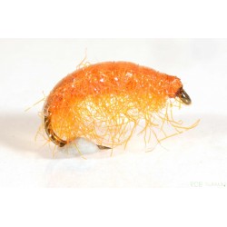 Ice Shrimp, Orange