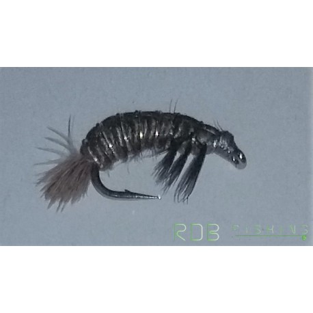 Hydropsyche Caddis Larva
