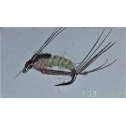 Rhyacophila Caddis Pupa