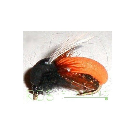 Mouche sèche RDB Coleoptere orange