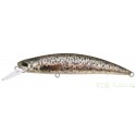 DUO SPEARHEAD RYUKI 80S Brown Trout ND