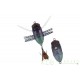 Cigale Duo REALIS KOSHINMUSHI CCC3201 Tsukutsukuhoushi