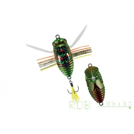 Cigale Duo REALIS KOSHINMUSHI CCC3218 Kinkame