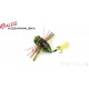 Cigale Duo REALIS KOSHINMUSHI