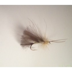 High Rider CDC Sedge - Cream