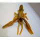 Ecrevisse Craw RDB 3'' 7cm Natural Yellow belly
