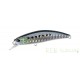 DUO SPEARHEAD RYUKI 60S SW Sardine AHA0011 