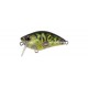 Duo REALIS CRANK 50SSR KABUKI CDX3933 Champagne Tiger ou Gold Plate Tiger