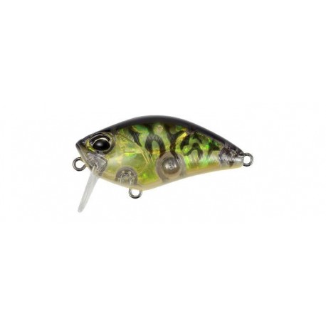 Duo REALIS CRANK 50SSR KABUKI CDX3933 Champagne Tiger ou Gold Plate Tiger