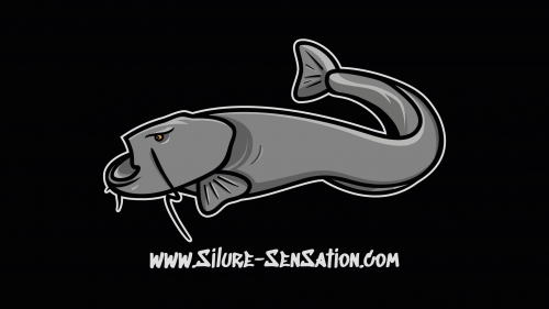 Silure Sensation
