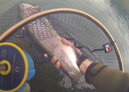 Week-end de pêche à la mouche en réservoir